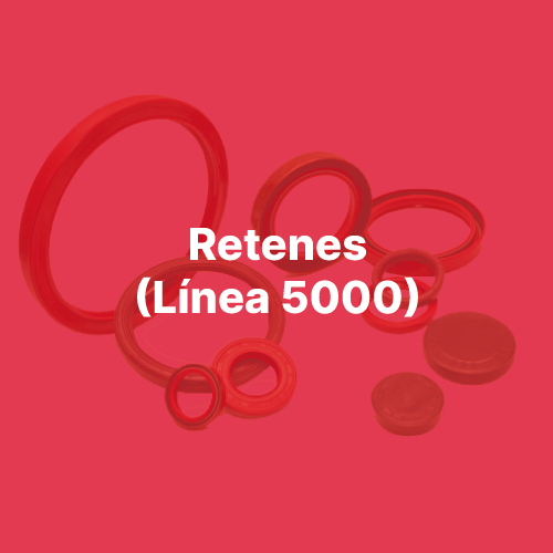 RETENES (LÍNEA 5000)
